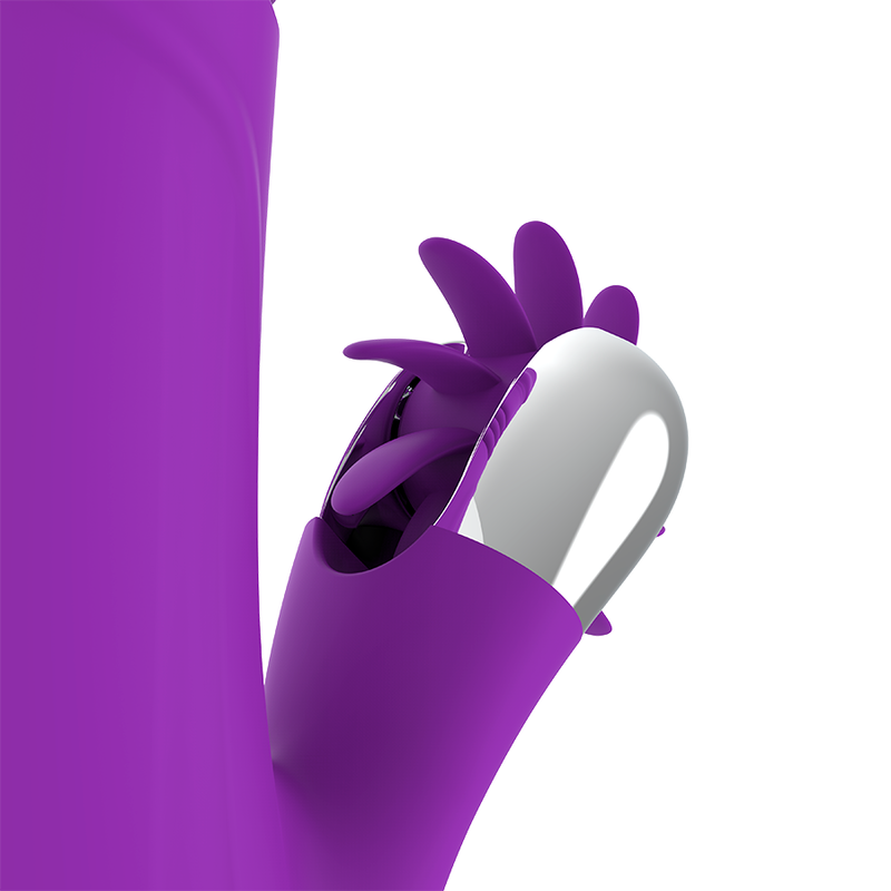 FUN FUNCTION - COELHO ENGRAÇADO PARA CIMA E PARA BAIXO 2.0