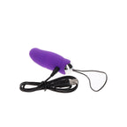 TOYJOY - FELICIDADE MEU ORGASMO EGGSPLODE VIBRADOR ROXO CONTROLE REMOTO