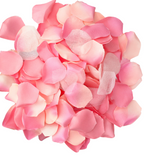 DIABO PICANTE - 100 PÉTALAS ROSA
