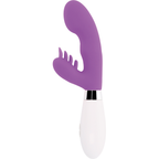 GLOSSY - COELHO ELVIS ROXO